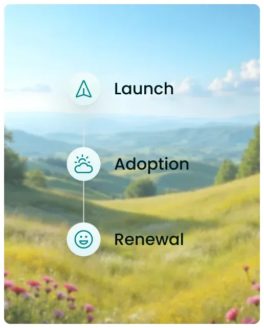 Landscape showing launch, adoption, and renewal stages for continued care.